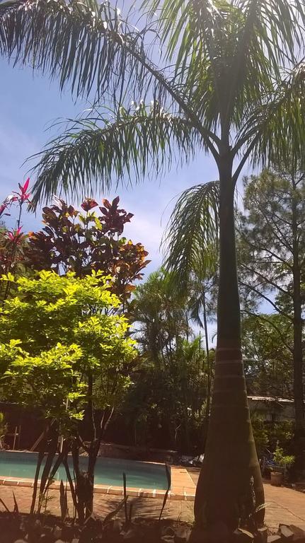 Petit Hotel Caraguata Puerto Iguazú Dış mekan fotoğraf