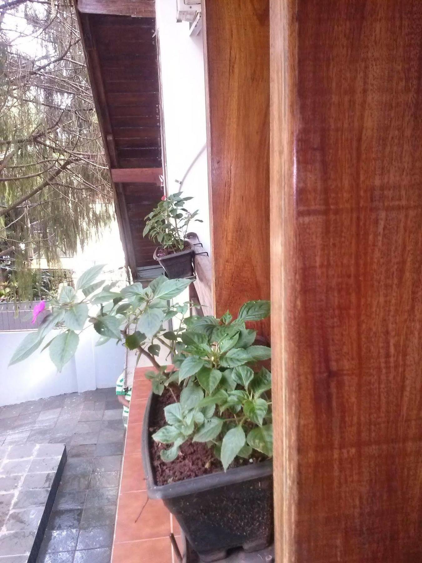 Petit Hotel Caraguata Puerto Iguazú Dış mekan fotoğraf