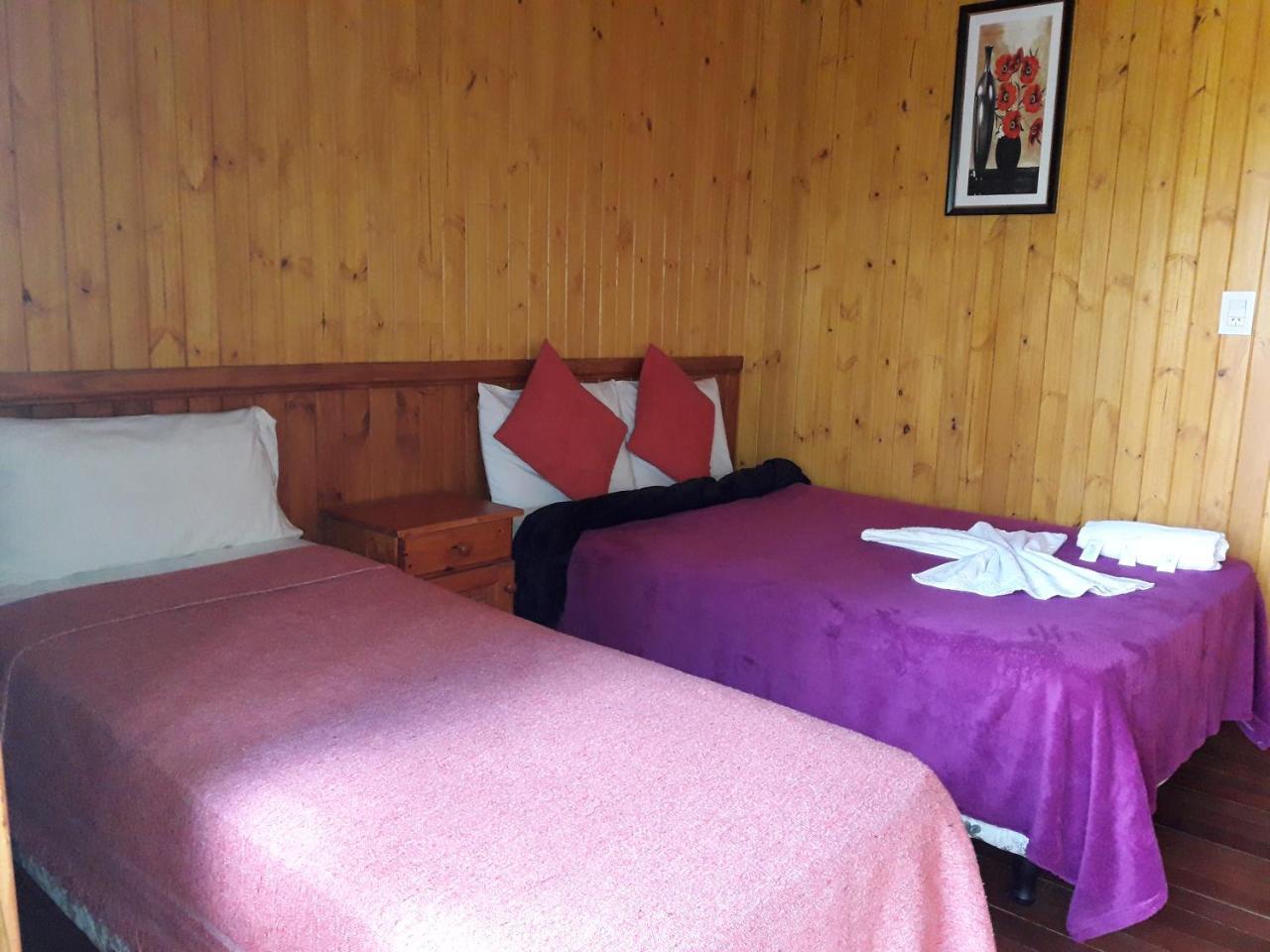 Petit Hotel Caraguata Puerto Iguazú Dış mekan fotoğraf